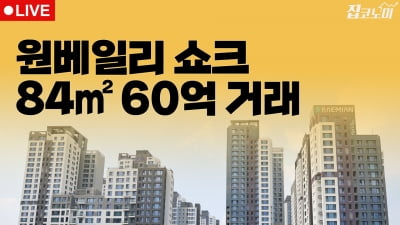 부동산뉴스 총정리📝 현실이 될 3.3㎡당 2억원 | 집코노미 타임즈