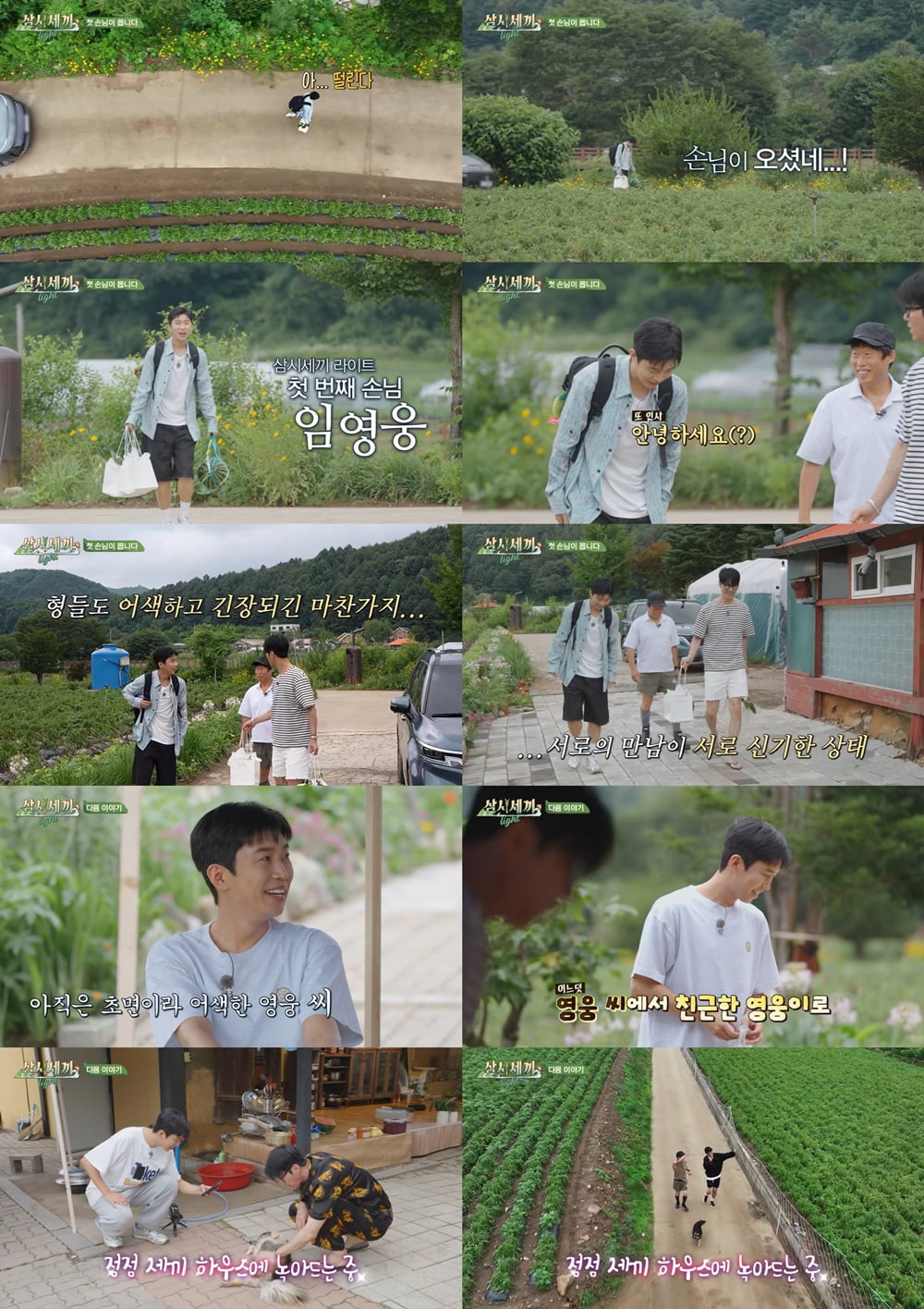 '삼시세끼 라이트' 임영웅 /사진=tvN 방송화면 캡처