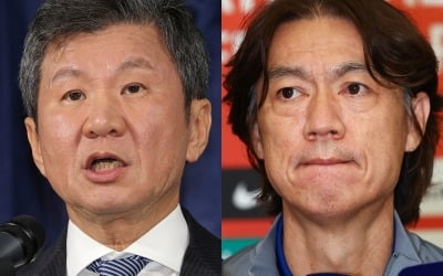 정몽규·홍명보 나란히 국회 출석…국가대표 감독 선임 의혹 풀리나