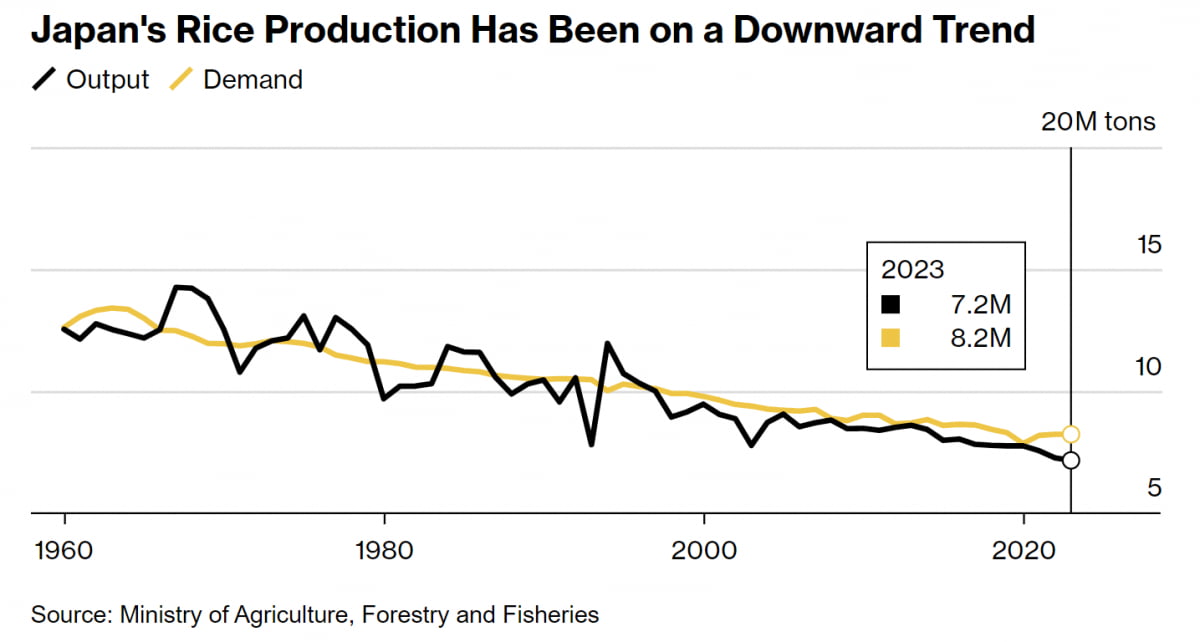 일본 쌀 수요 만족하지 못하는 공급량(사진=블룸버그통신 캡처)