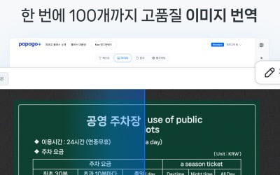 네이버, 파파고 유료버전 출시…월 1만3000원부터