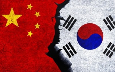 "중국 제품이 훨씬 좋아"…이런 댓글 中이 조직적으로 달았다