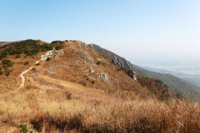 온라인 슬롯;가을 단풍 여행 여기로 가세요온라인 슬롯;…'핫플 27곳' 명단 떴다