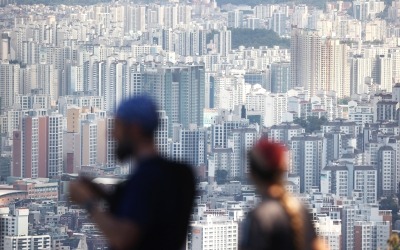 "집 팔까 말까 고민했는데"…심상찮은 분위기에 집주인 '탄식'