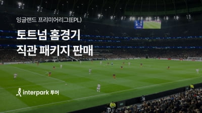 "런던 여행하고 손흥민도 보고"…인터파크 투어, EPL 직관 패키지 인기