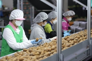 맛젤, 농산물 통합운영체계로 최상의 신선도와 안전함 유지