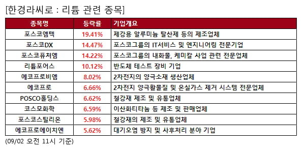 포스코엠텍,포스코DX,포스코퓨처엠,리튬포어스,에코프로비엠,에코프로,POSCO홀딩스,코스모화학,포스코스틸리온,에코프로에이치엔