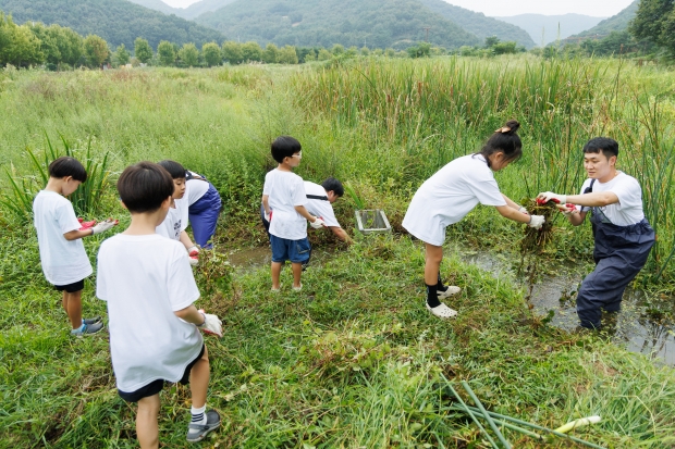 ㈜보령, 예산군과 함께 멸종위기 ‘황새’ 보전 활동 참여