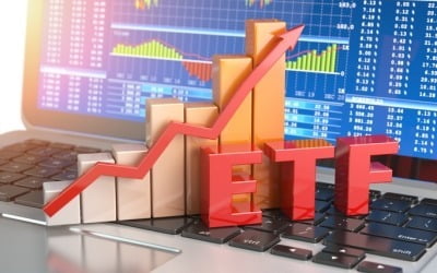 "주가 방어력 좋네"…변동성 장세 돈 몰리는 동일가중 ETF