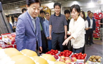 농식품부 "검역 소홀했다 병해충 돌면 어쩌나"