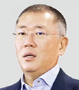 정의선 회장 