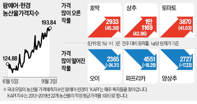 사과·포도 싸졌네…추석前 안정 찾은 과일값