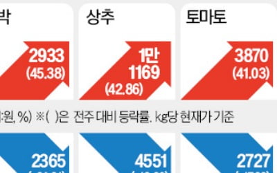 사과·포도 싸졌네…추석前 안정 찾은 과일값