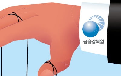 e커머스·플랫폼 '직접 규제' 꺼내든 금감원