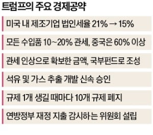 "미국내 제조사만 법인세 인하…머스크에 경제개혁 맡기겠다"