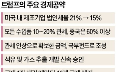 "미국내 제조사만 법인세 인하…머스크에 경제개혁 맡기겠다"