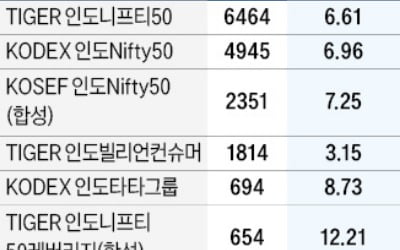 "中 넘을 세계의 공장 될 것"…인도 ETF 시총 2조 넘본다