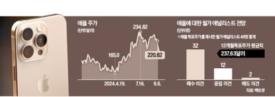 "애플 주가, 아이폰16 AI폰 기대 선반영"