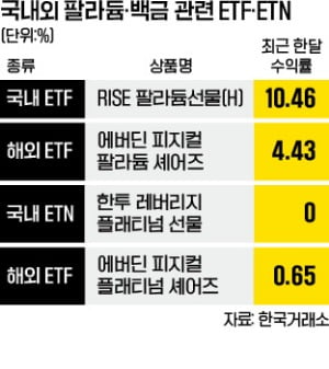 '희귀 금속' 팔라듐·백금도 있다