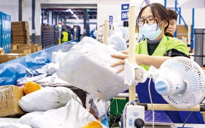 역직구까지 넘보는 中 알리바바…"韓 유통 주도권 내주나" 우려도