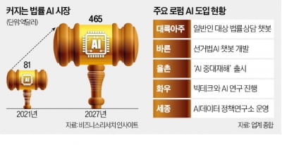 제동 걸린 법률AI 챗봇…'제2 로톡사태'로 번지나