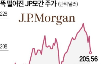 "내년 예대마진 쇼크 온다"…JP모간, 수익구조 '빨간불'