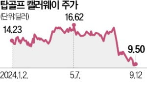 아쿠쉬 웃고 캘러웨이 울고…美 골프 대장주 엇갈린 희비