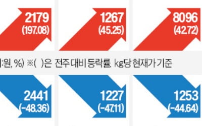 배추 한 포기 9000원 넘어…가을배추 나와야 안정될 듯