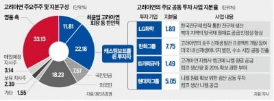 MBK "신사업 조정"이 부메랑…최윤범 우군 속속 등장