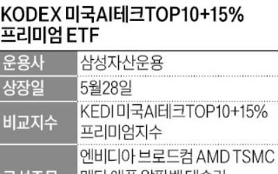 '美 AI테크TOP10' 커버드콜 3000억 돌파