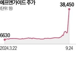 '경영권 분쟁' 에프앤가이드 나흘째 상한가