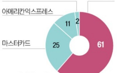 반독점 소송 휘말린 비자, 주가 휘청