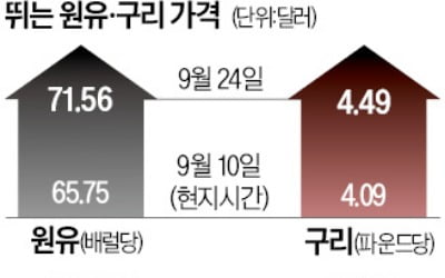 中, 돈 풀자…불붙은 '원자재 랠리'