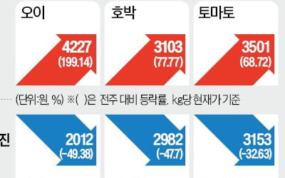 金배추 이어 金오이…일주일 새 3배 급등