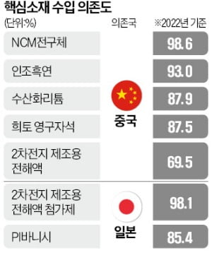 [단독] "4600억 투자해 인조흑연 국산화했지만…값싼 중국産만 찾아"