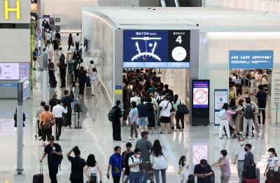 “간 큰 항공사 직원들” 밀수 하다 적발...금액만 약 4억