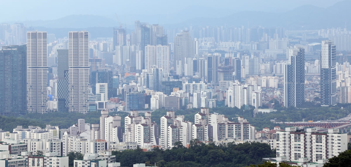 서울 아파트 시가총액이 9개월 만에 35조원 급증했다./뉴스1