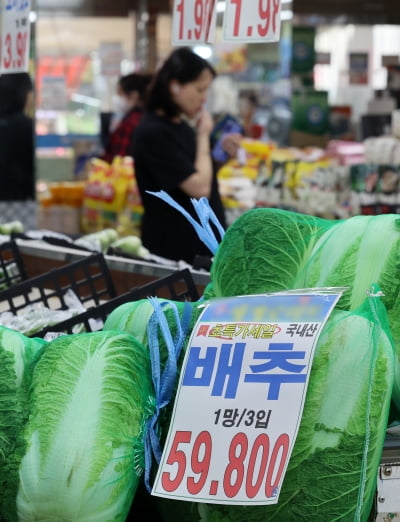 ‘한우’ 보다 더 비싸진 ‘배추’...앞으로 더 오른다 ‘충격’