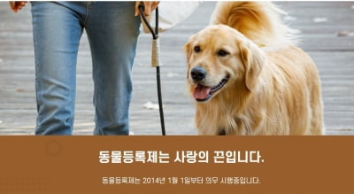 개 키우는 사람 태반이 불법이라고? [“개·고양이 키우면 세금 내라?” 논쟁⑥]