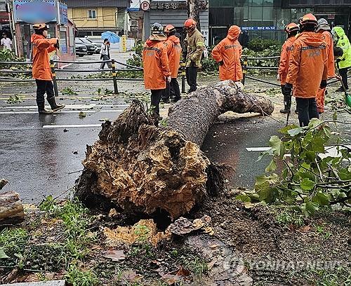 땅 꺼지고, 산사태에, 아스팔트도 뜯겨…전국 곳곳 '물폭탄'(종합)