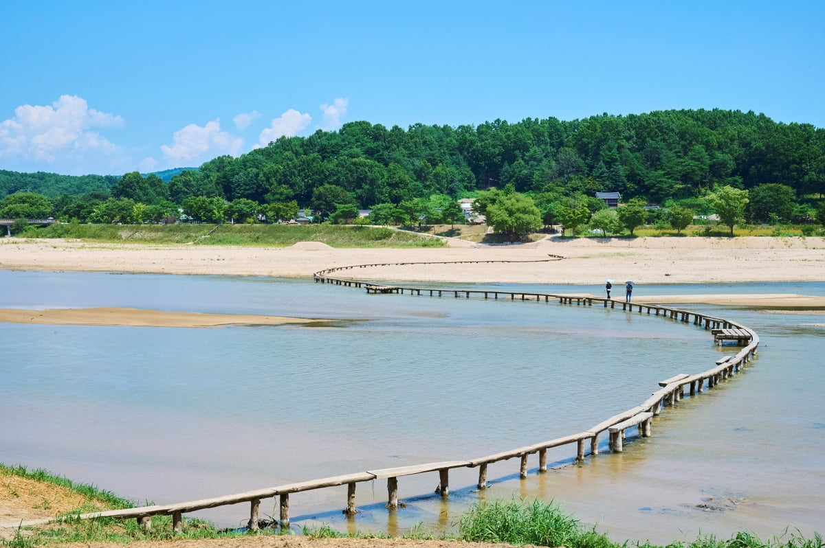 과거 마을과 바깥세상을 잇는 유일한 길이었던 무섬마을 외나무다리. 사진=도진영