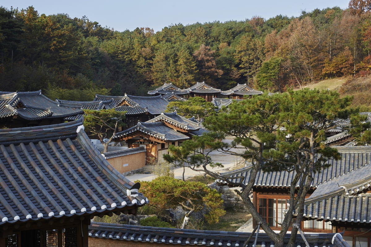 락고재 하회 한옥 호텔 전경. 자연과 한옥이 조화를 이룬다 