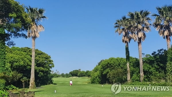 골프 인구 600만 훌쩍…월평균 45만원 쓴다