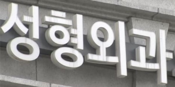 '의료대란' 여긴 예외…쑥쑥 크는 성형외과