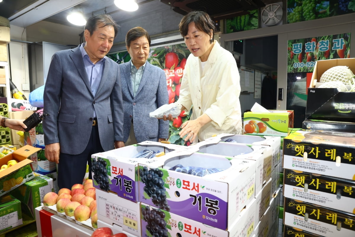 농식품부 "성수품 본격 출하…사과 13.2%, 배 7.9% 내려"