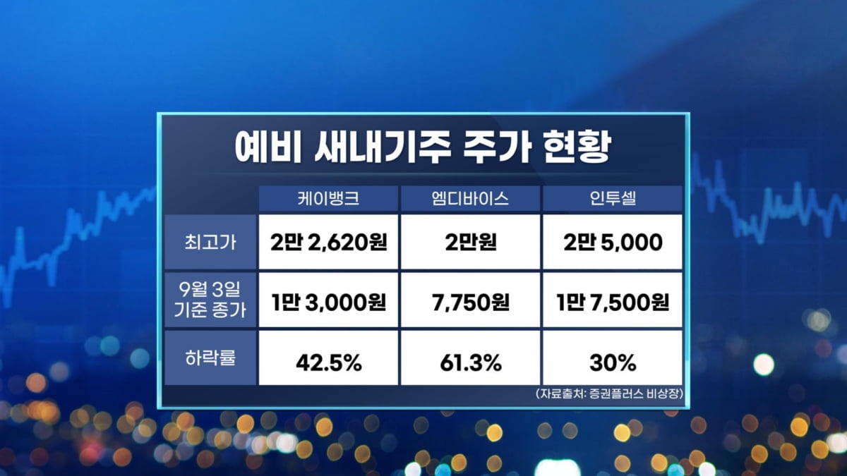 다시 깨어난 IPO…다음주 아이언디바이스 청약 [마켓인사이트]