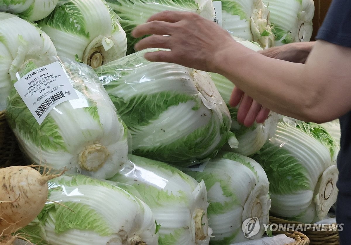 '한우'보다 더 비싸…제조사마저 판매 '포기'