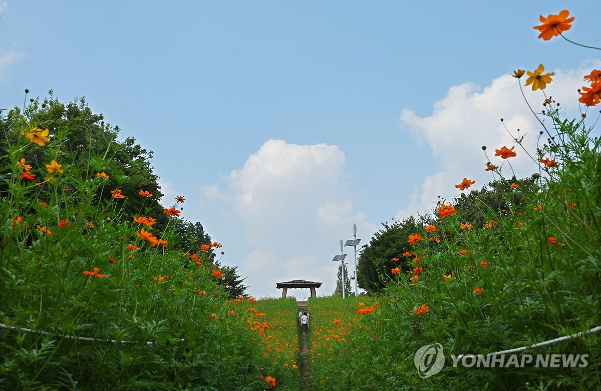 추석 코앞인데 전국 80%에 '폭염특보'…곳곳 9월 기온 '신기록'