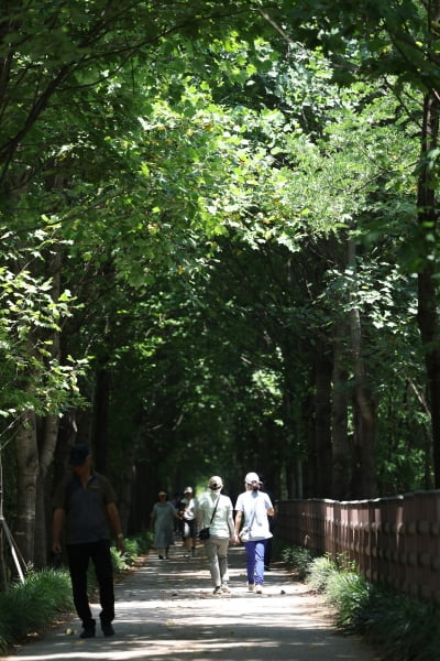 "가족들과 나들이 가볼까"…카지노 게임 종류 명절 가볼 만한 '명품 숲길'