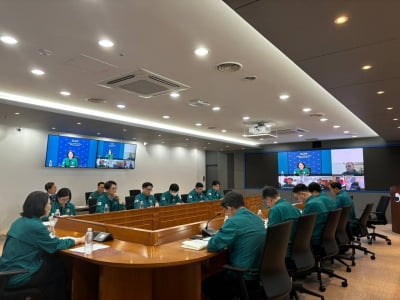 정부, 레바논·이스라엘 체류 교민에 "조속히 출국"…재차 권고